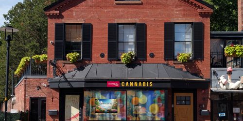Good Nature Cannabis Harvard Square