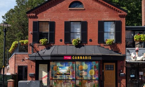 Good Nature Cannabis Harvard Square